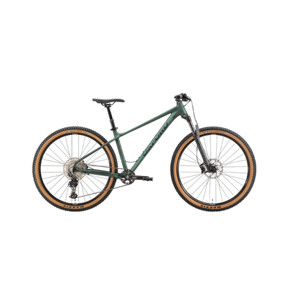 Bicicleta Oxford Polux 8