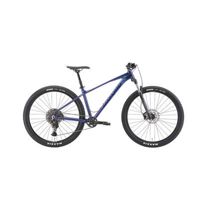 Bicicleta Oxford Orion 7 Serie Uno X