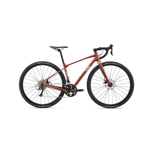 Bicicleta Liv Devote 2