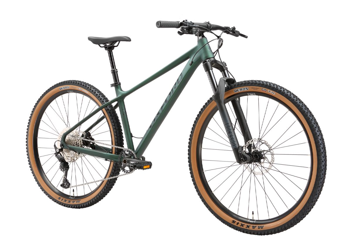 Bicicleta Oxford Polux 8