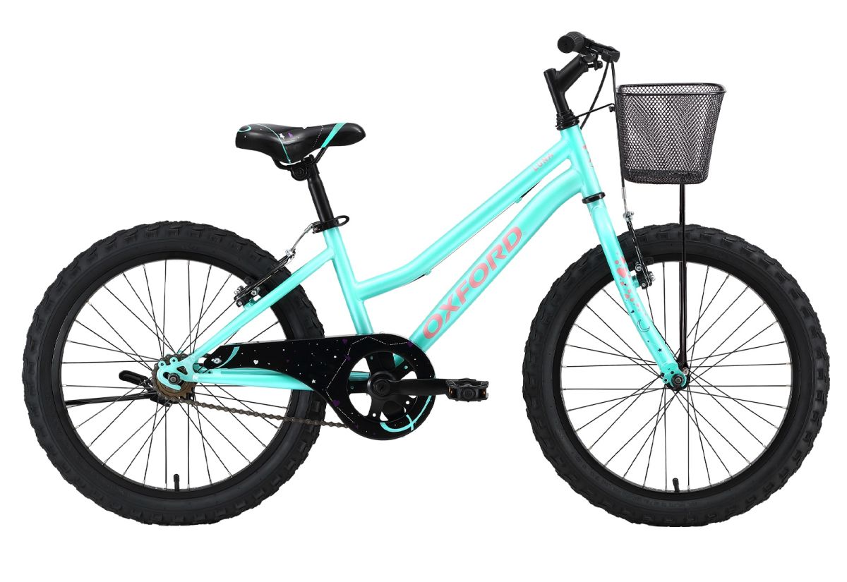 Bicicleta Infantil Luna 20